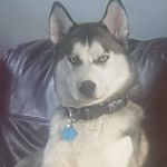 Sammy Bishop - @bishopsamantha8122 - Instagram
