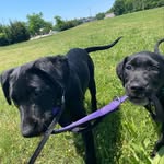 Booker and Sammy - @booker_and_sammy - Instagram