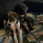 @bookerandsammy - Instagram