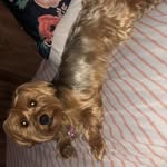 Sammy Booker-Carter - @silly.sammy_ - Instagram