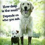 Sammy Boyce - @sammyboyce57 - Instagram