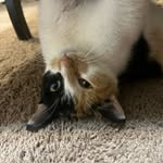 Sammy Boyd - @_sammy2funny_ - Instagram