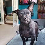 Sammy Brewster - @sammy.brewster.75 - Instagram