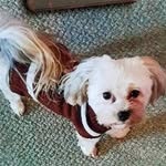 sammy bryant - @sammy.bryant502 - Instagram