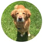 Sammy Buckner - @samthegoldador - Instagram