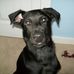 Sammy Burrow - Facebook