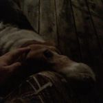 Sammycain - @sammycain20456 - Instagram