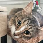 Sammy Calhoun - @lakelightlily1 - Instagram