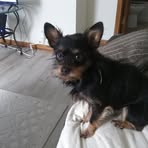 Sammy Camacho - Facebook