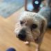 Sammy Capps - Facebook