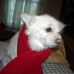 Sammy DaBannie Capps - Facebook