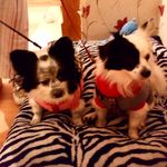 Sammy Carroll - @sammy.carroll.100 - Instagram