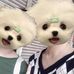 Sammy Chang - Facebook
