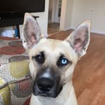 Samuel Baxter - @sammy.cheeks13 - Instagram
