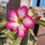 Sammy - @sammy_clicks23 - Instagram