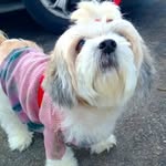 sammy - @sammy_coel - Instagram