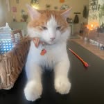 Sammy Curbelo - @sammy.unofficial - Instagram