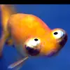 sammy.dixon132 - @sammy.dixon132 - TikTok