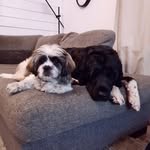 Sammy & Douglas - @sammyanddouglas - Instagram