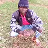user8332850593577 - @sammyengs - TikTok