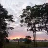 Sammy Escobar - @sammy.escobar6 - TikTok