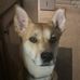 Sam Estes - Facebook