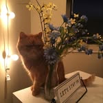 Sammy Hager - @sammyfluffybutt10 - Instagram