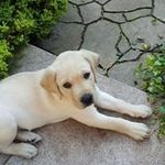 Susanne  Hansen ( Sammy) - @sammy.hansen.397 - Instagram