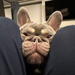 Sammy Jaques - @sammitikka - Instagram