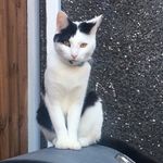 Sammy Jaques - @jaquessammy - Instagram