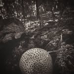 Sammy_Key - @sammy_key3 - Instagram