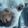 sam - @sammy.lammyyy - TikTok