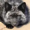 Sammy Lam - @sammy.lam63 - TikTok