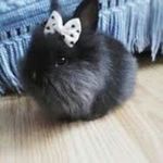 Sammy Mack - @idk_anymore_124 - Instagram