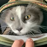 Sammy “Smudgie” MayDay Malone - @sammysmudgiemalone - Instagram