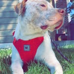 Sammy Mitchell Culver - @sammy_culver3 - Instagram