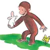 sammy - @monkey.sammy - TikTok