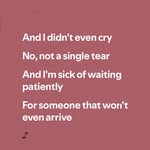 🩷𝓢𝓪𝓶𝓾𝓮𝓵🩷 - @sammy_monkeys - Instagram