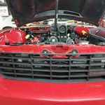 Sammy Morrow - @morrowstang - Instagram