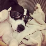 Sammy Muchacho - @sammymuchacho - Instagram
