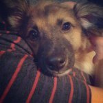 SammyPro - @sammyolsen - Instagram