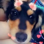 Sammy Parrish Sellers - @sammy_fanpage_0410 - Instagram