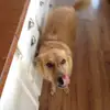 Sam  - @sammy.payne - TikTok