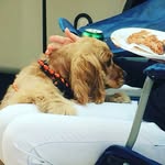 Sammy Payne - @sammy_payne1 - Instagram