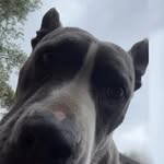 Sam - @sammy__phillips___ - Instagram