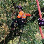 Sammy Phillips - @tree_surgeon_sammy - Instagram