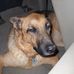Sammy Pierce - Facebook