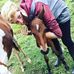 Sammy Pierce - Facebook
