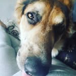 Sammy P - @sammy.pike - Instagram