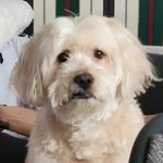 Sammy Poe - @sammypoethedoodle - Instagram